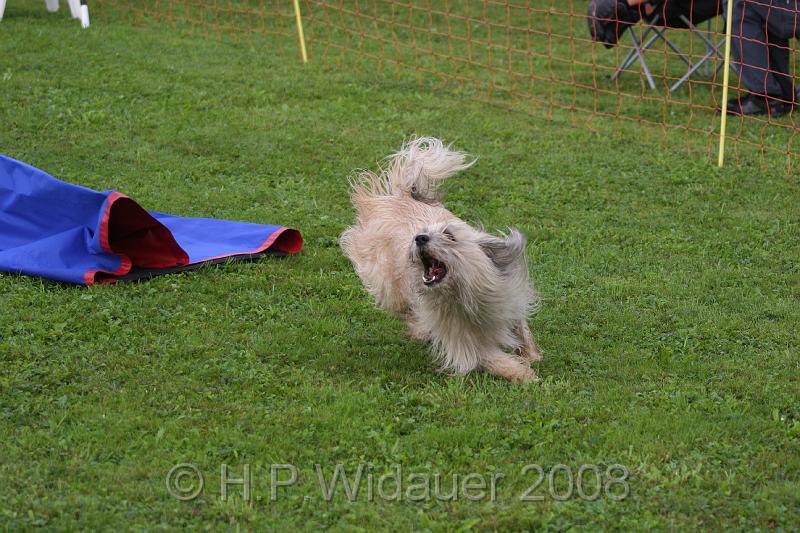 jubil.lusten. 044.jpg